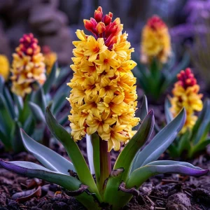 Гиацинт Миднайт Мистери купить по цене от 2099р. в интернет-магазине «Посадика» с доставкой почтой в в Няганье и по всей России – [изображение №1].