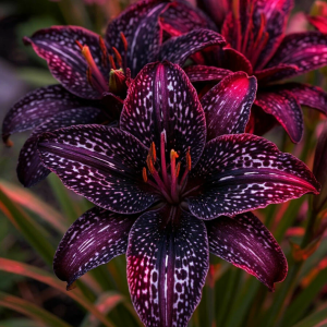 Лилейник Вояж купить по цене от 699р. в интернет-магазине «Посадика» с доставкой почтой в в Няганье и по всей России – [изображение №1].